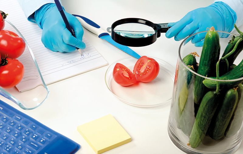 Как получить фитосанитарный сертификат на пиломатериалы для экспорта