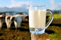Изменения в ТР по безопасности молока внесены на согласование 