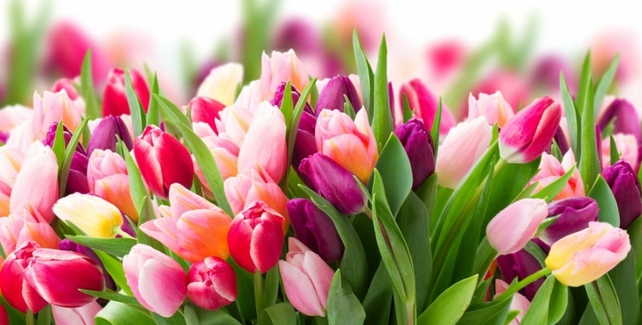 8 марта - обычный день в необычной компании с непредсказуемыми последствиями…