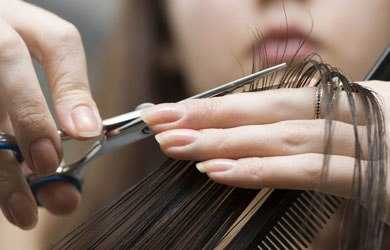 Отменена сертификация услуг!