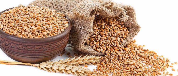 Порядок оформления декларации на зерно в РБ