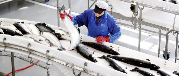 ТР ТС 040 — технический регламент для рыбной продукции