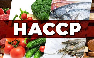 Кому нужна система НАССР? Нюансы внедрения, виды сертификатов
