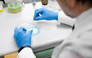 Роль испытательных лабораторий в процессе сертификации